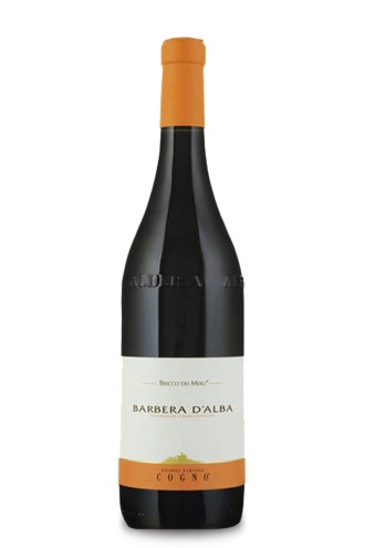 Barbera d'Alba doc "Bricco dei Merli " Elvio Cogno  2013