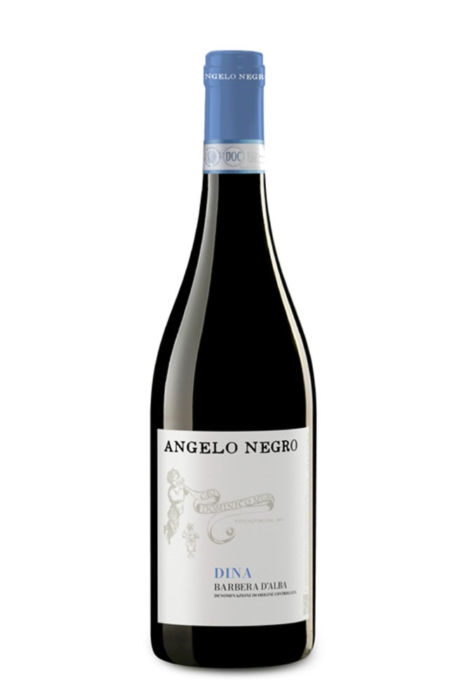 Barbera d'Alba doc Dina 2024 Negro Angelo e Figli