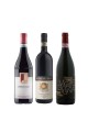 Selezione Barbera