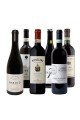 Vini per il Tartufo | Selezione di Vini Italiani per Abbinamenti Perfe
