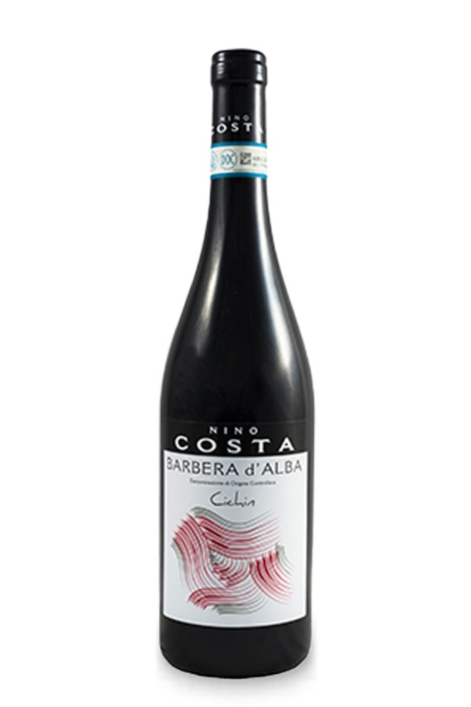 Barbera d’Alba doc Cichin 2024 Nino Costa