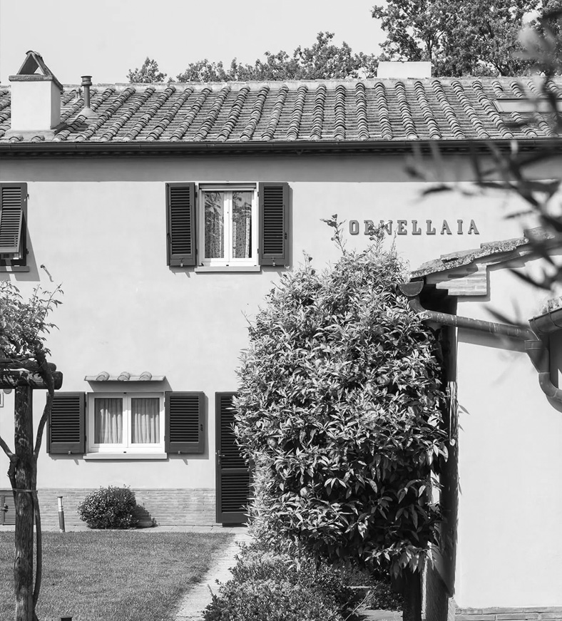 Il produttore del momento