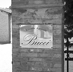 Azienda Agricola Bucci